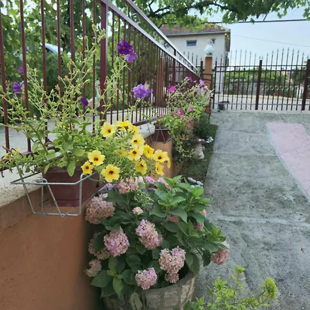 Stan Uljarevic * Билеча